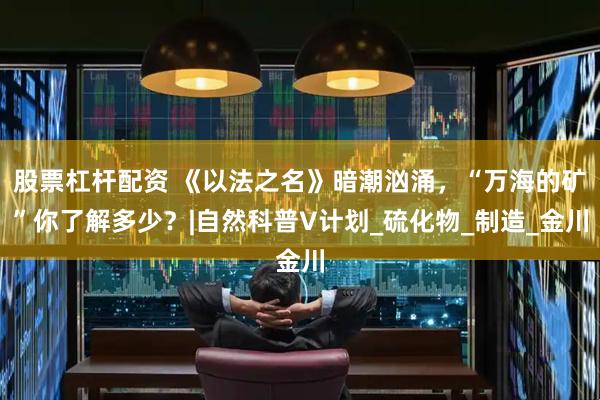 股票杠杆配资 《以法之名》暗潮汹涌，“万海的矿”你了解多少？|自然科普V计划_硫化物_制造_金川